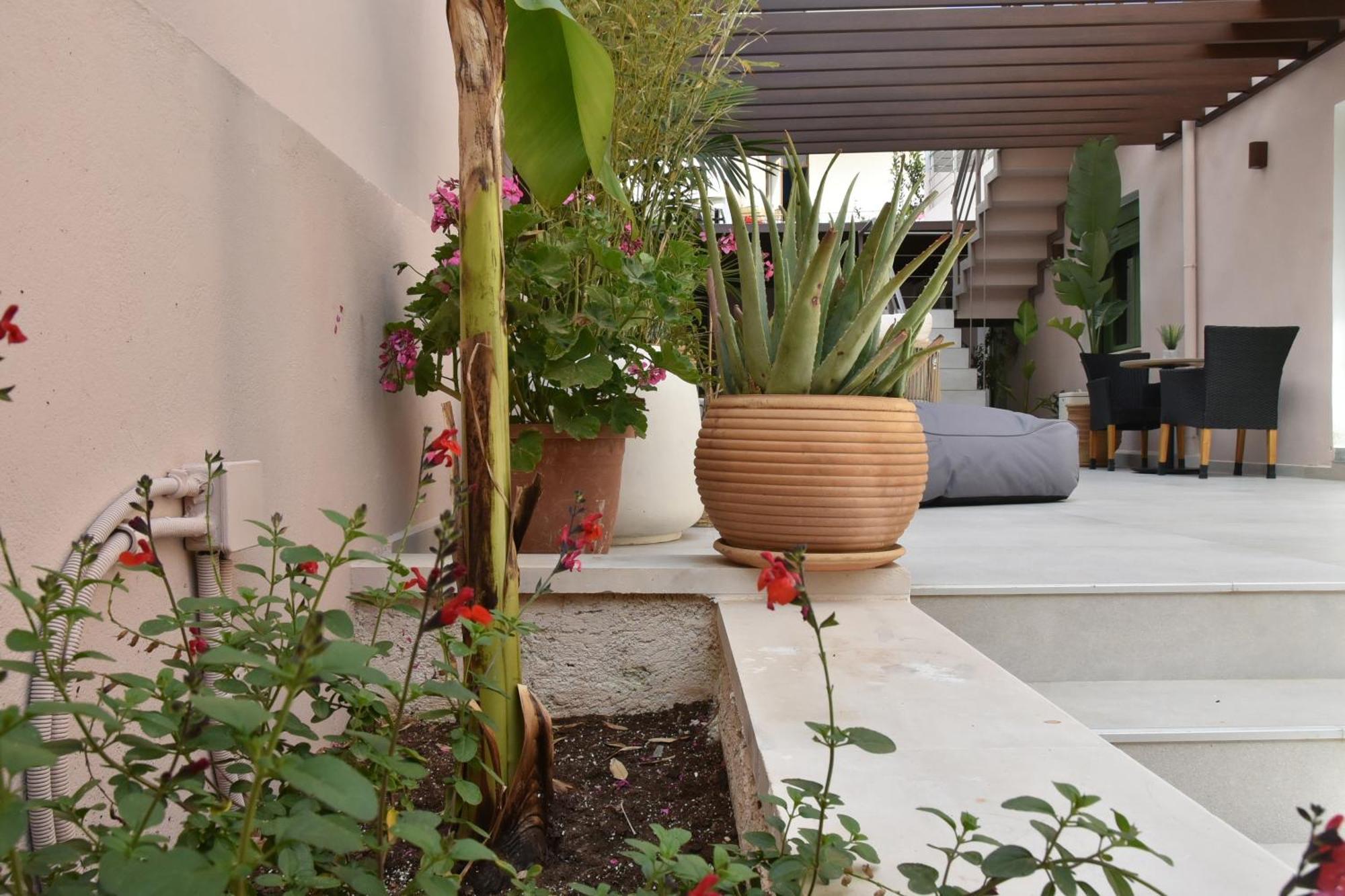 Casa Enetiko Hotel *