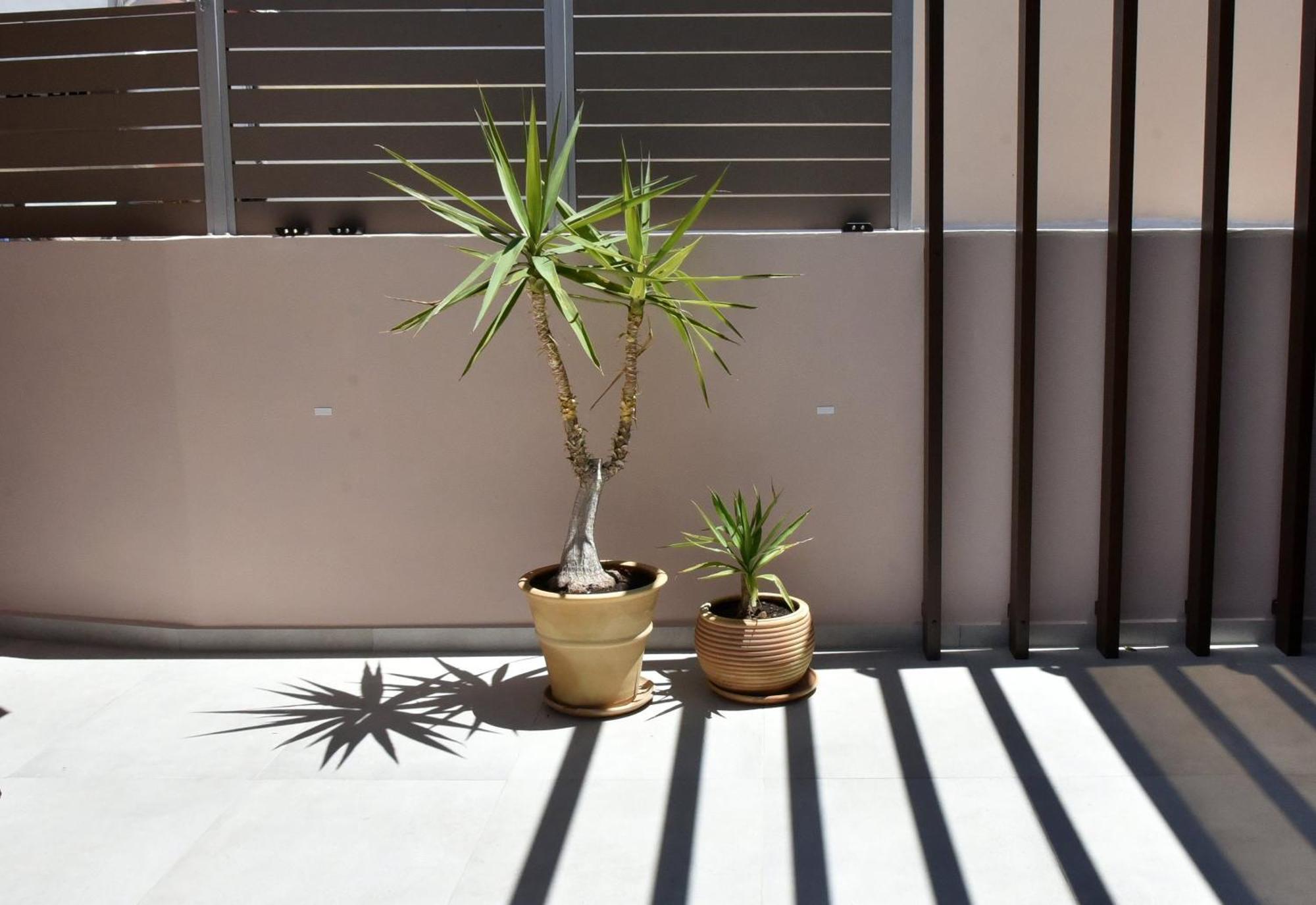 Casa Enetiko Hotel Chania (Crete)